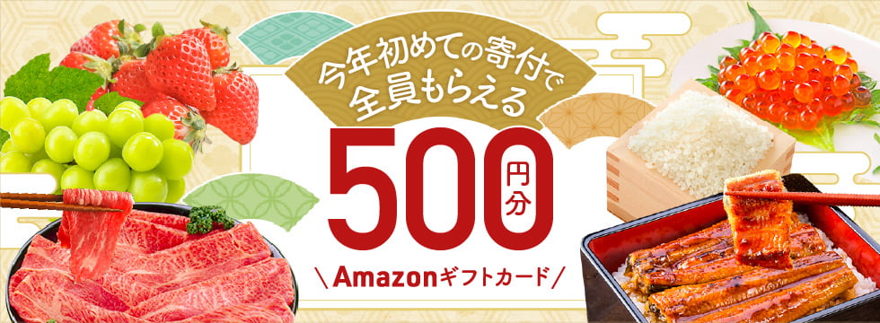 今年初めてのふるさと納税 Amazonギフトカード500円分当たる！