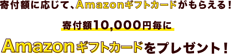 寄付額10,000円毎にAmazonギフトカードをプレゼント！