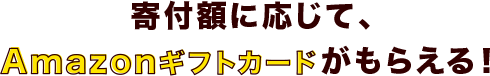 寄付額に応じてAmazonギフトカードをプレゼント！