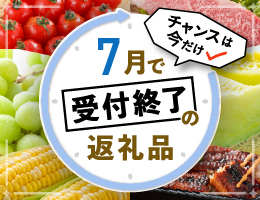 宮本佳緒里の布小物：財布】手作りのがま口財布（小銭入れ）【草木染め