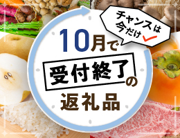 10月受付終了の返礼品特集