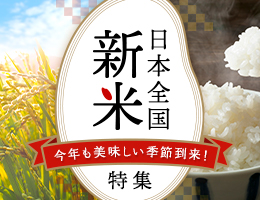 白井渡船回数券 利用券11枚組 白井渡船《30日以内に出荷予定(土日祝除く)》和歌山県 日高町 紀伊水道 田杭港沖 回数券 レジャー 釣り 乗船 /  和歌山県日高町 | セゾンのふるさと納税