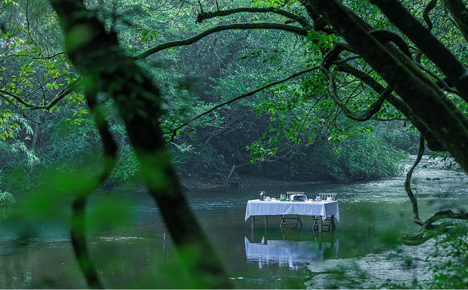 天空の森「霖雨の森」ペア宿泊券(1泊2食付)