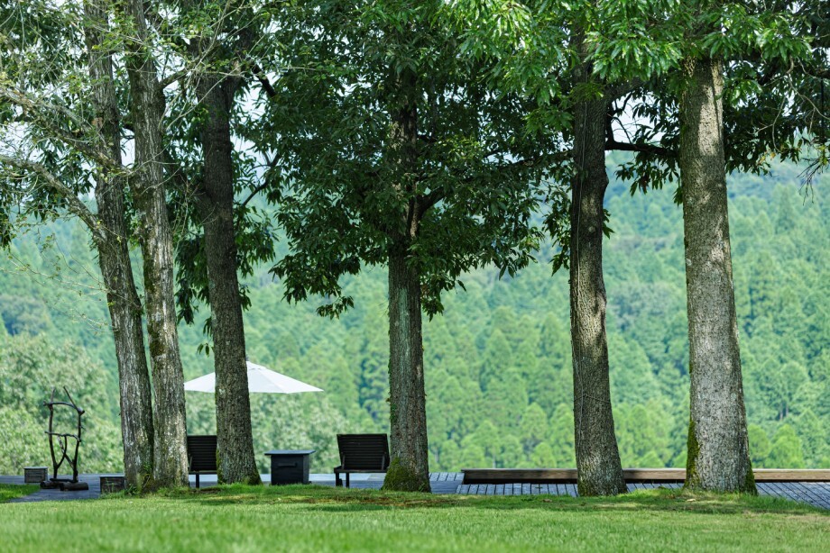 《セゾン限定》天空の森「春夏秋冬4回宿泊プラン」ペア宿泊券