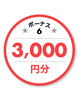 ボーナス6 3,000円分