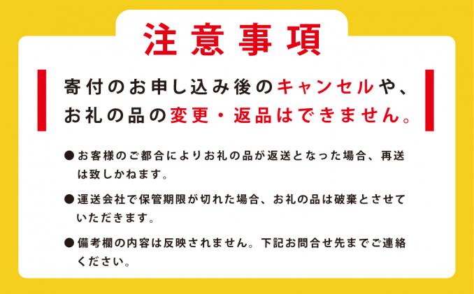 北海道湧別町のふるさと納税 ジャージーA2ミルクで作ったプリン8個