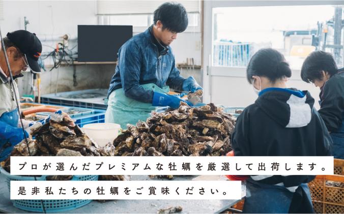 北海道湧別町のふるさと納税 【国内消費拡大求む】≪先行予約≫北海道湧別町サロマ湖産  殻付き2年牡蠣2kgと1年牡蠣剥き身500g