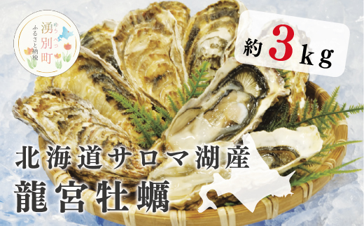 [国内消費拡大求む]≪2024年1月から発送≫北海道サロマ湖産 龍宮牡蠣3kg(2年物殻付きカキ)カキナイフ付