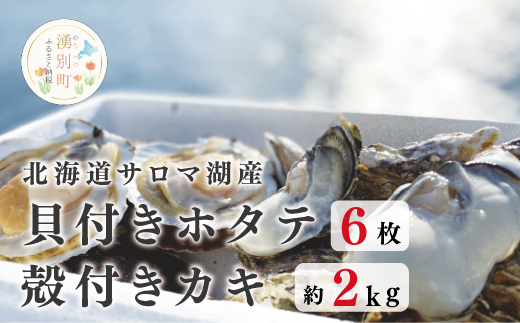 [国内消費拡大求む][先行予約2024年11月から発送]北海道サロマ湖産 貝付きホタテ6枚・カキ約2kg