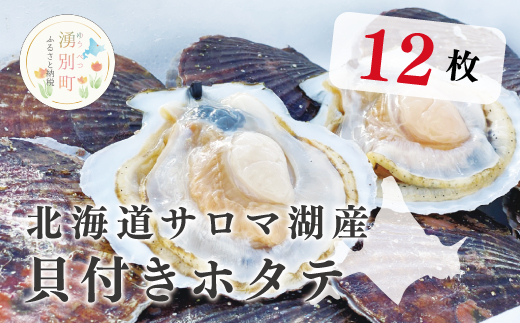 [国内消費拡大求む][先行予約2024年11月から発送]北海道サロマ湖産 貝付きホタテ12枚