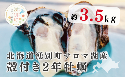 [国内消費拡大求む]≪先行予約≫北海道湧別町サロマ湖産 殻付き2年牡蠣3.5kg(約27〜35個入)