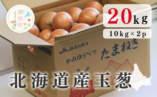 北海道産玉葱20kg !(10kg×2箱)