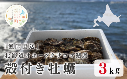 [国内消費拡大求む]『漁師直送』北海道オホーツクサロマ湖産牡蠣殻付き3キロ