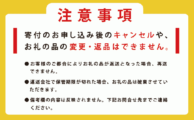 北海道湧別町のふるさと納税 北海道オホーツク産　天然ホタテ貝柱大500g