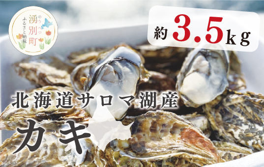 北海道湧別町のふるさと納税 <先行予約2025年11月から発送>北海道サロマ湖産　カキ約3.5kg