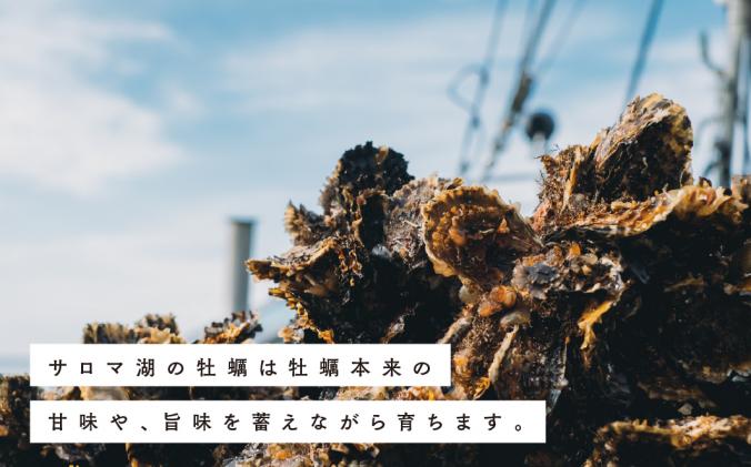 北海道湧別町のふるさと納税 <先行予約2025年11月から発送>北海道サロマ湖産　カキ約3.5kg