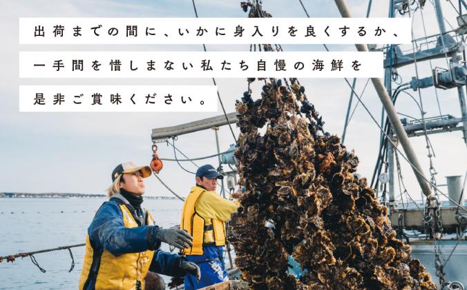 北海道湧別町のふるさと納税 <先行予約2025年11月から発送>北海道サロマ湖産　カキ約3.5kg