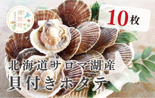 ≪先行予約2025年11月から配送≫北海道サロマ湖産 貝付きホタテ10枚