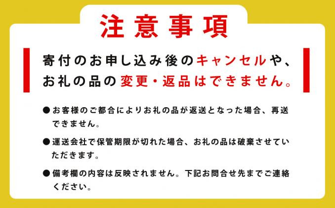 北海道湧別町のふるさと納税 【国内消費拡大求む】訳あり 北海道 オホーツク海産 冷凍 帆立貝柱 1kg フレーク