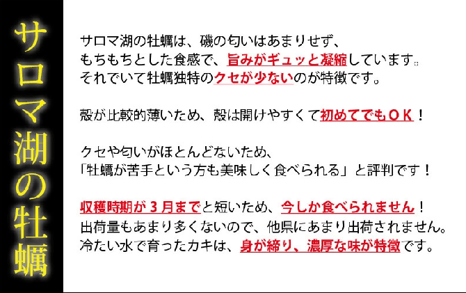 北海道湧別町のふるさと納税 <先行予約2025年11月中旬から発送>牡蠣職人が厳選した殻付きカキ 3.5kg(生食可)　牡蠣　かき　カキ　海鮮　魚介　国産　殻付き　冷蔵　焼き牡蠣　蒸し牡蠣　産地直送　生牡蠣　生食　サロマ湖　オホーツク　北海道　湧別町