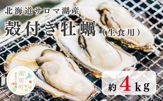 [国内消費拡大求む]北海道 サロマ湖産 殻付き牡蠣 約4kg 生食用