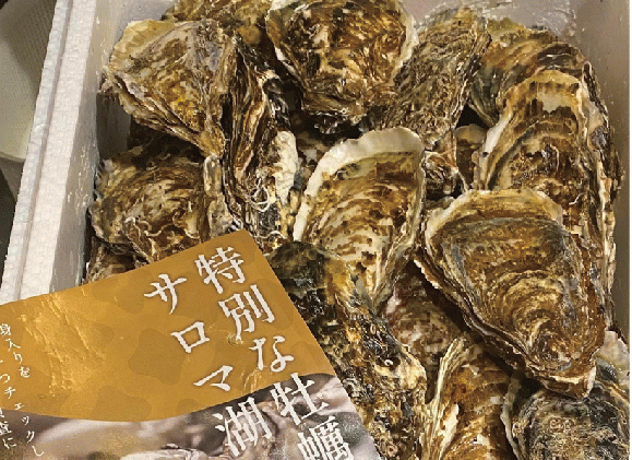 北海道湧別町のふるさと納税 【国内消費拡大求む】牡蠣職人が厳選した殻付きカキ 3.5kg(生食可)