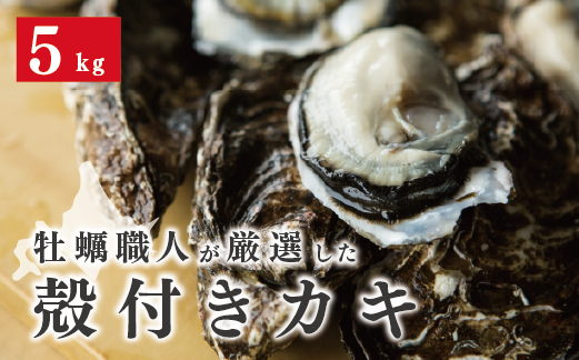 北海道湧別町のふるさと納税 【国内消費拡大求む】牡蠣職人が厳選した殻付きカキ 5kg(生食可)