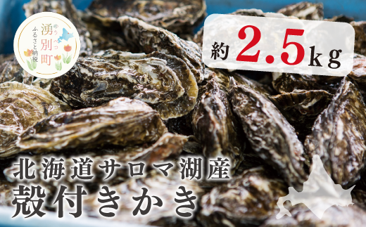 [国内消費拡大求む]北海道サロマ湖産 殻付きかき2.5kg