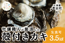 <先行予約2025年11月中旬から発送>牡