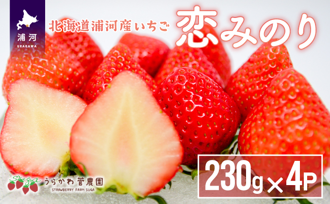 【今が旬!】北海道浦河産いちご「恋みのり」230g×4P[13-268]|うらかわ菅(すが)農園