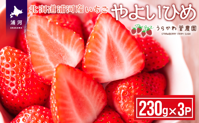 北海道浦河町のふるさと納税 【今が旬!】北海道浦河産いちご「やよいひめ」230g×3P[13-883]