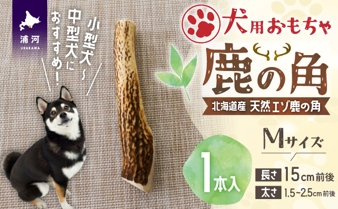 犬用「鹿の角」Mサイズ×1本[53-1348] / 北海道浦河町 | セゾンの