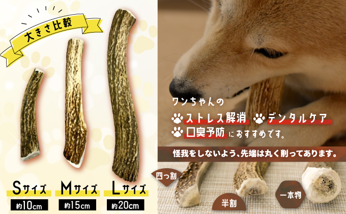 犬用「鹿の角」Mサイズ×1本[53-1348] / 北海道浦河町 | セゾンの