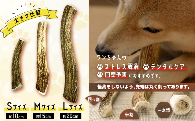 北海道浦河町のふるさと納税 犬用「鹿の角」Sサイズ×1本[53-1347]