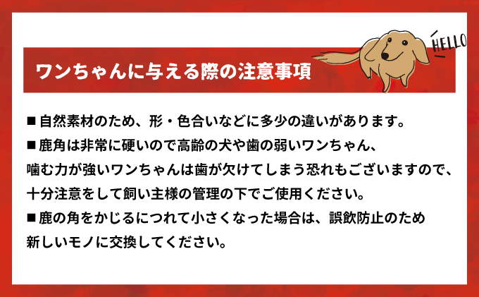 北海道浦河町のふるさと納税 犬用「鹿の角」Sサイズ×1本[53-1347]