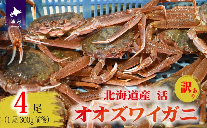 配送月指定可／『北海道北前蟹』脚むき身（ポーション）500g 北海道