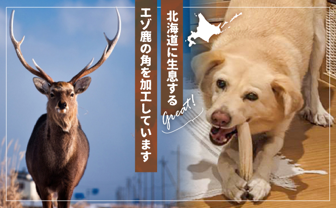 犬用「鹿の角(四つ割り)」Mサイズ×1本[53-1354] / 北海道浦河町