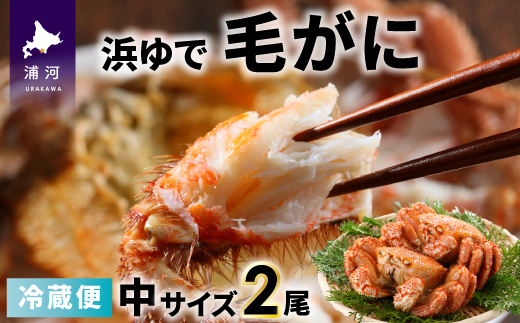 北海道浦河町のふるさと納税 【今が旬!】漁協の浜ゆで毛がに 中サイズ2尾セット※日付指定対応不可※[02-173]