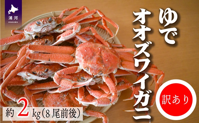 青森県 陸奥湾産 活トゲクリガニ(メス) 約1kg (4～5杯) 【琉宝丸