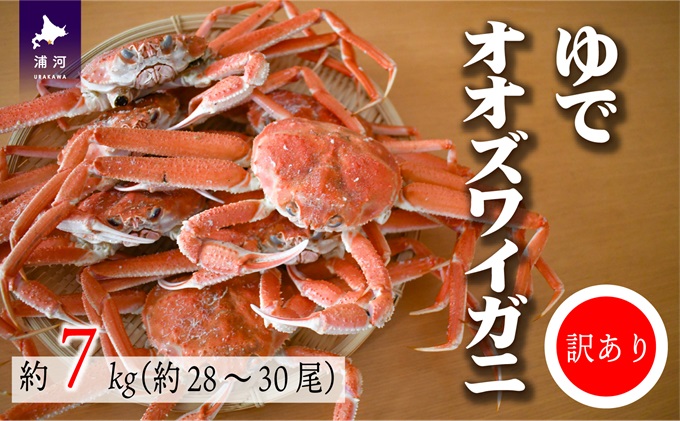 北海道浦河町のふるさと納税 訳あり ゆでオオズワイガニ約7kg(約28～30尾入)[02-1412]