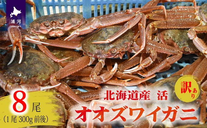 青森県 陸奥湾産 活トゲクリガニ(メス) 約1kg (4～5杯) 【琉宝丸
