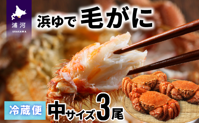 北海道浦河町のふるさと納税 【今が旬!】漁協の浜ゆで毛がに 中サイズ3尾セット※日付指定対応不可※[02-174]