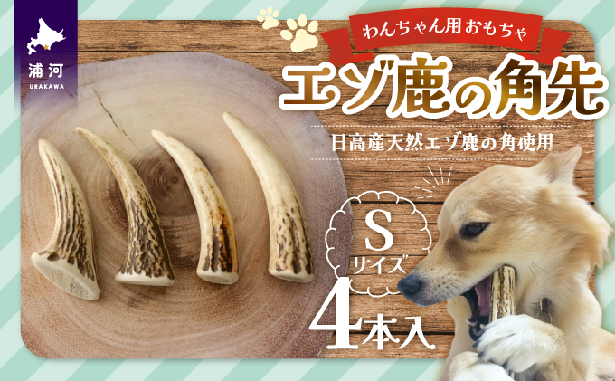 エゾ鹿の角先 Sサイズ×4本セット(1本物)[54-1363] / 北海道浦河