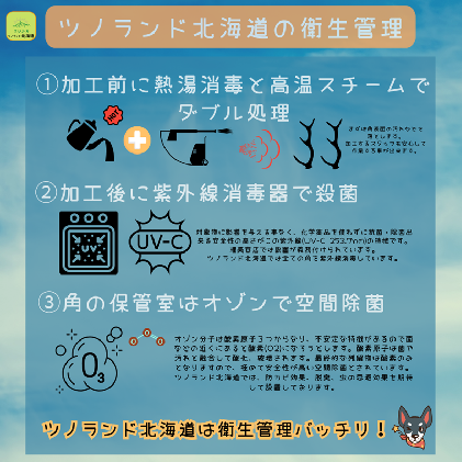 エゾ鹿の角先 Lサイズ×2本セット(1本物)[54-1365] / 北海道浦河