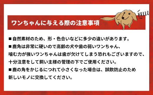 エゾ鹿の角 Sサイズ×4本セット(四割)[54-1368] / 北海道浦河町