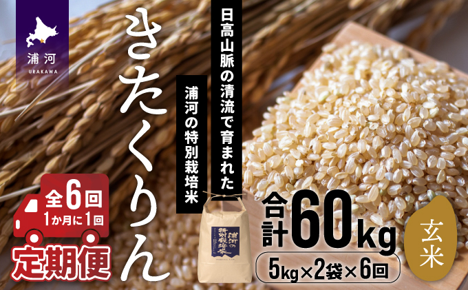 令和5年産】浦河の特別栽培米「きたくりん」玄米(5kg×2袋)定期便(全6回)[28-1210] / 北海道浦河町 | セゾンのふるさと納税