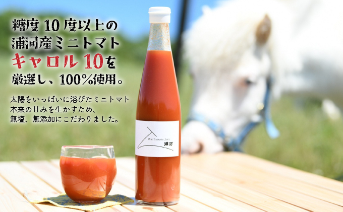 無添加・無塩 完熟ミニトマト100%ジュース(720mlx2本)[24-812]|浜田農園