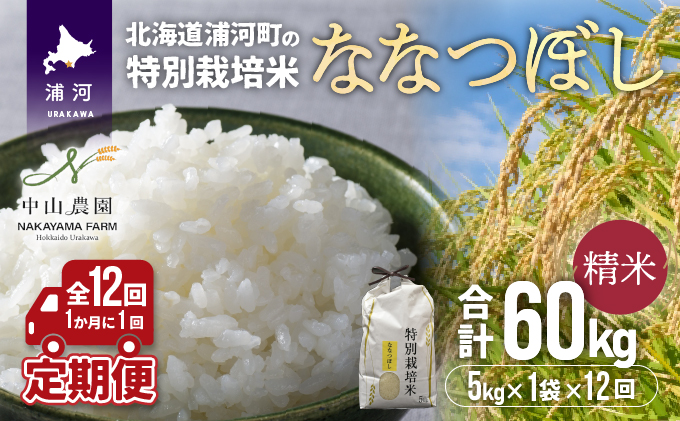 ふるさと納税 北海道浦河町の特別栽培米「ななつぼし」精米(5kg×1袋