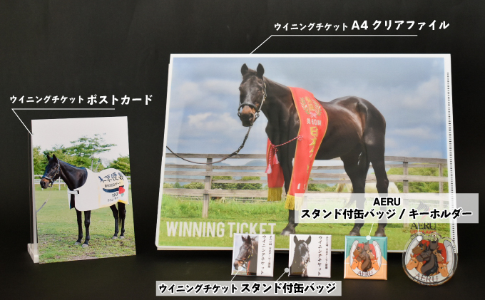 優駿ビレッジAERU G1馬「ウイニングチケット」オリジナルグッズ(計6個
