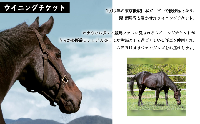 優駿ビレッジAERU G1馬「ウイニングチケット」オリジナルグッズ(計6個